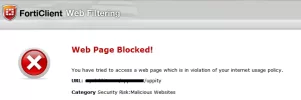 3.webp