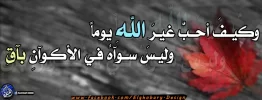 وكيــفَ أحــبُّ غيـرَ اللهِ يوماً.webp