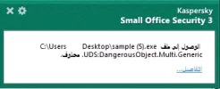 5.webp