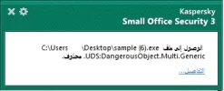 6.webp
