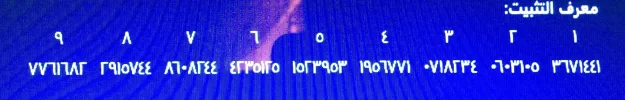 image.webp