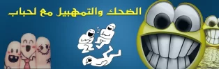 3333.webp