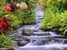 ااا.webp