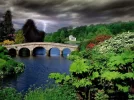 93221.webp