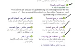 11.webp