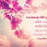 الشيخ محمود