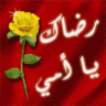 الامورة ريهام