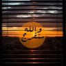 زايد