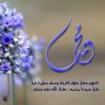 عمر الحربي