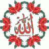 رضا بركات
