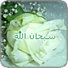 niso