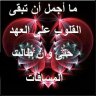 amir rachid