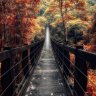 adil727