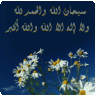 نبض قلبي أمي