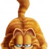 rudymaj