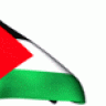 د.دموع فلسطين