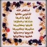 abo aly75