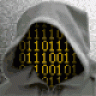 IDM1