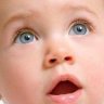 fadel_alg