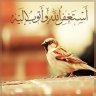 lolome2003
