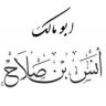 أبو مالك أنس صلاح
