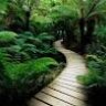talal_taha