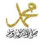 sahar_sarhan