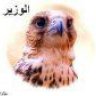 الوزير22