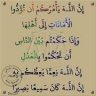 محمد جملي