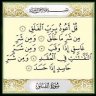 Ahmed Zaki