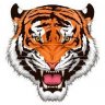 tiger1980