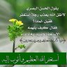 yahia87