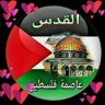 سيد الهواري