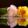 العيساوي محسن