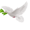 حسين الهادي
