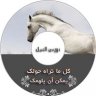 نورس النيل