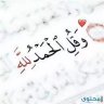 نادر محمد