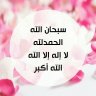 مهيب المدينة