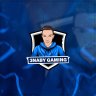 3naby gaming