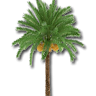 نصر الصحراء