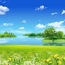 farid2957