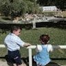ابو اليمان