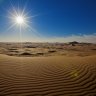 الحربي نواف