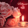 التماسحى