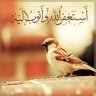 عشق الكتابة