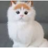 myaw