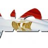 اشرف بديوى