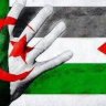 سامى عبد الفتاح