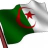 حسان كمال