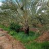 hamza07dz